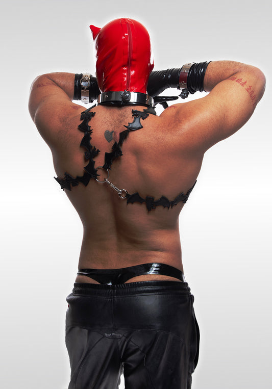 Bat Harness